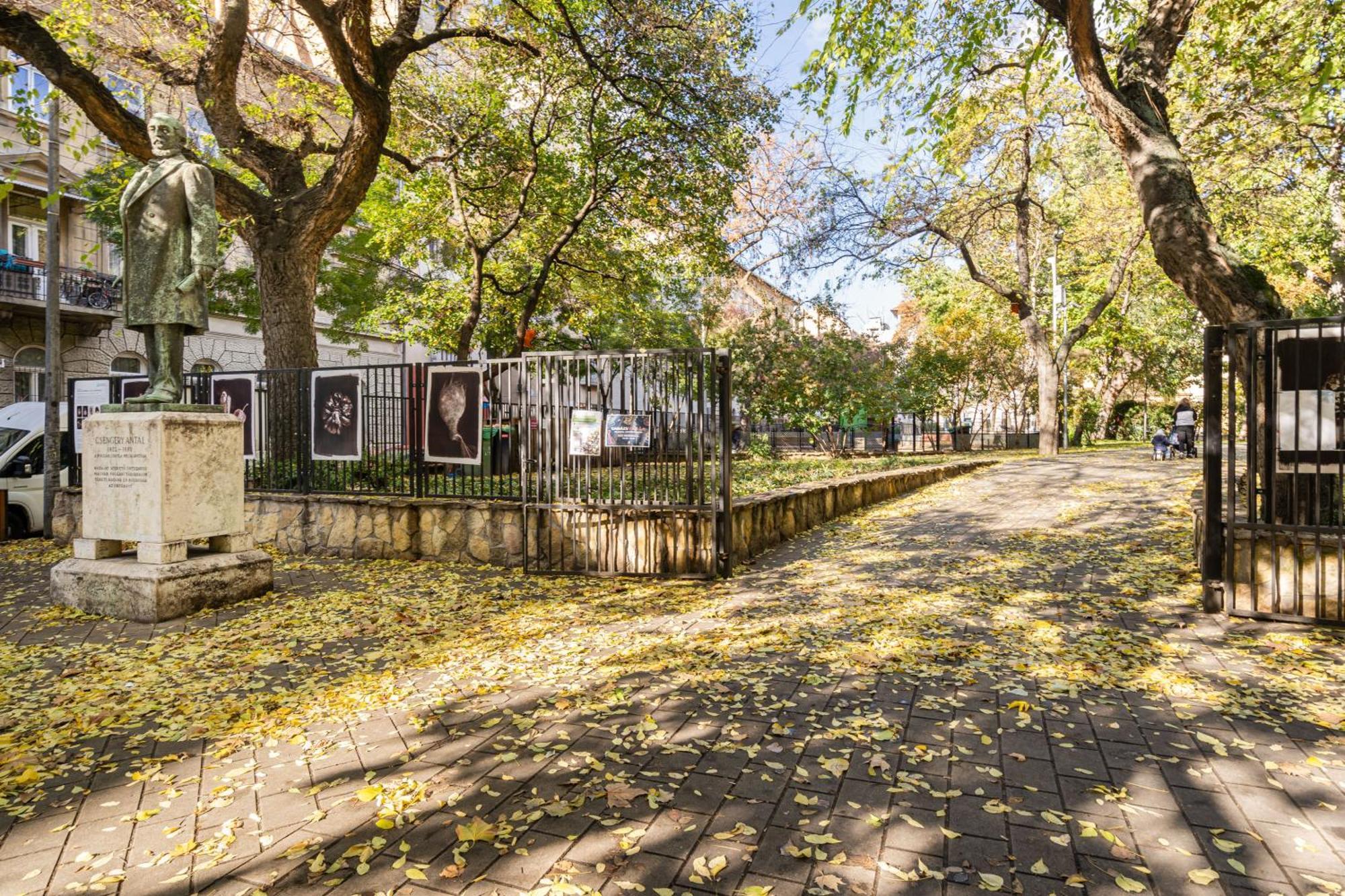 Myelegance Downtown Apartment Free Parking Budapest Luaran gambar